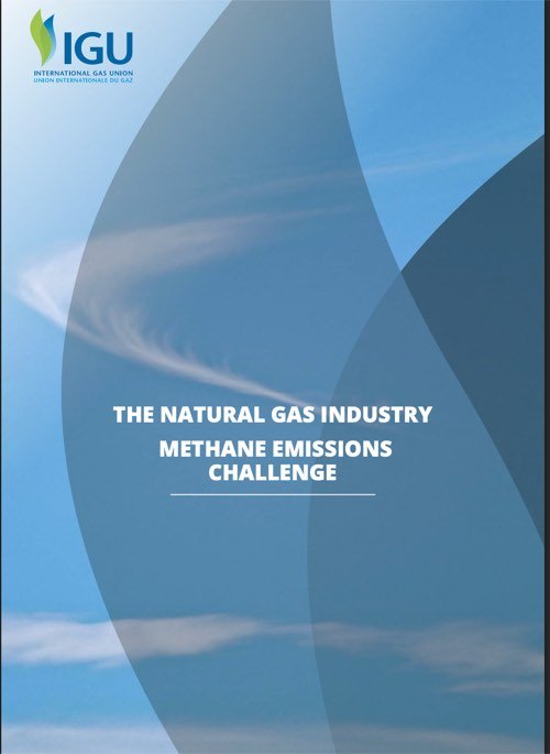 The Natural Gas Industry Methane Emissions Challenge