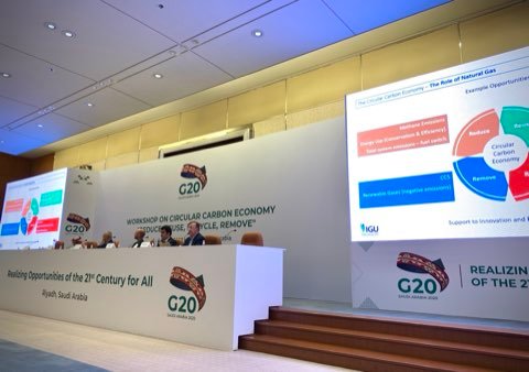 G20 Energy Working Session